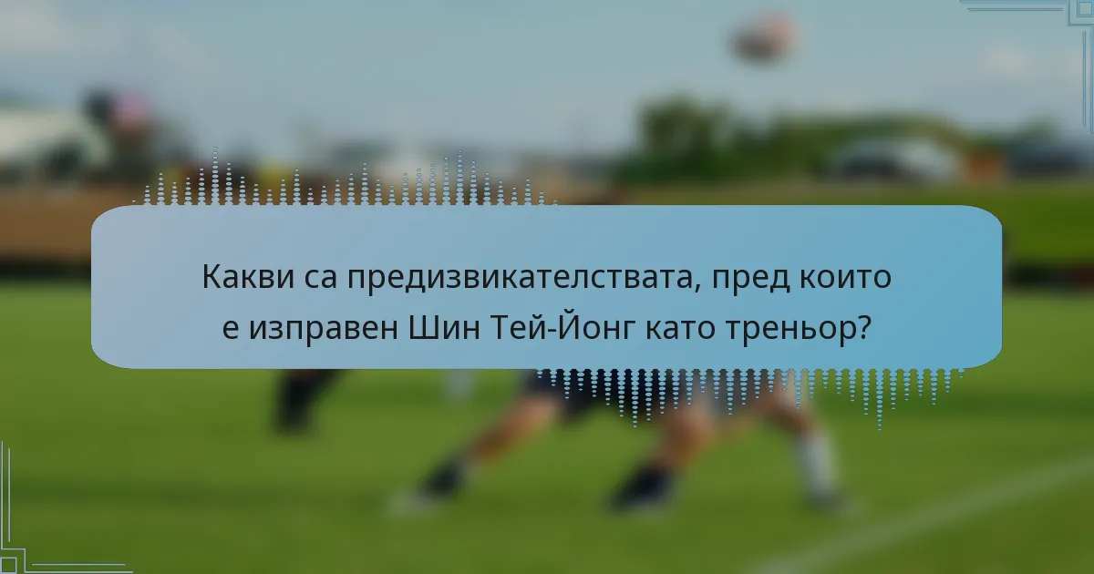 Какви са предизвикателствата, пред които е изправен Шин Тей-Йонг като треньор?